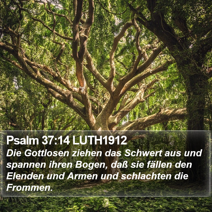 Psalm 37:14 LUTH1912 Bible Study