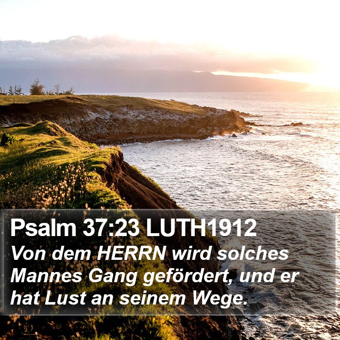 Psalm 37:23 LUTH1912 Bible Study