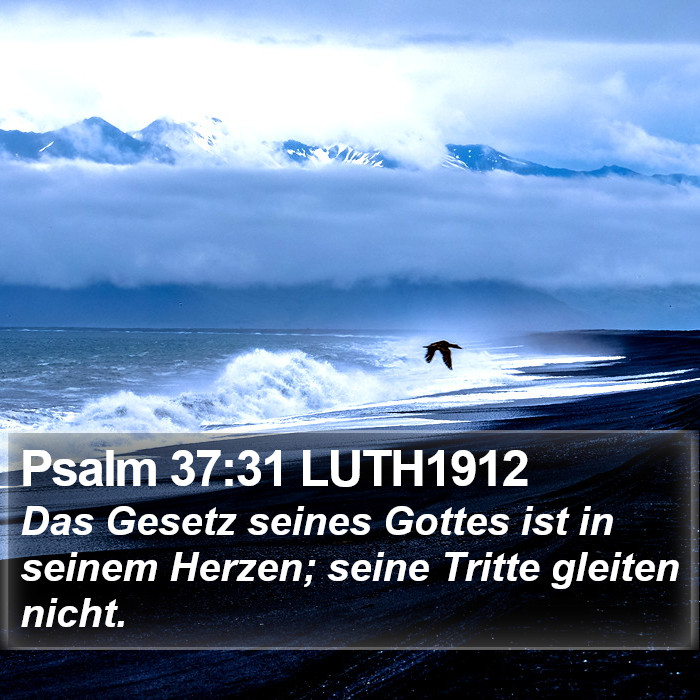 Psalm 37:31 LUTH1912 Bible Study