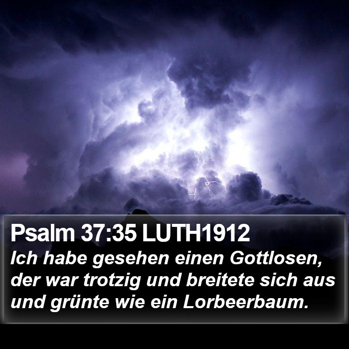 Psalm 37:35 LUTH1912 Bible Study