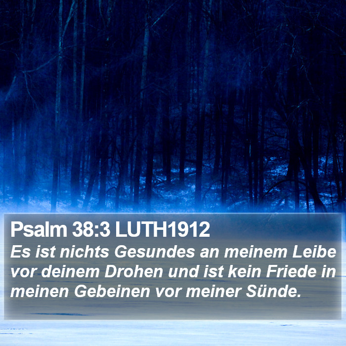 Psalm 38:3 LUTH1912 Bible Study