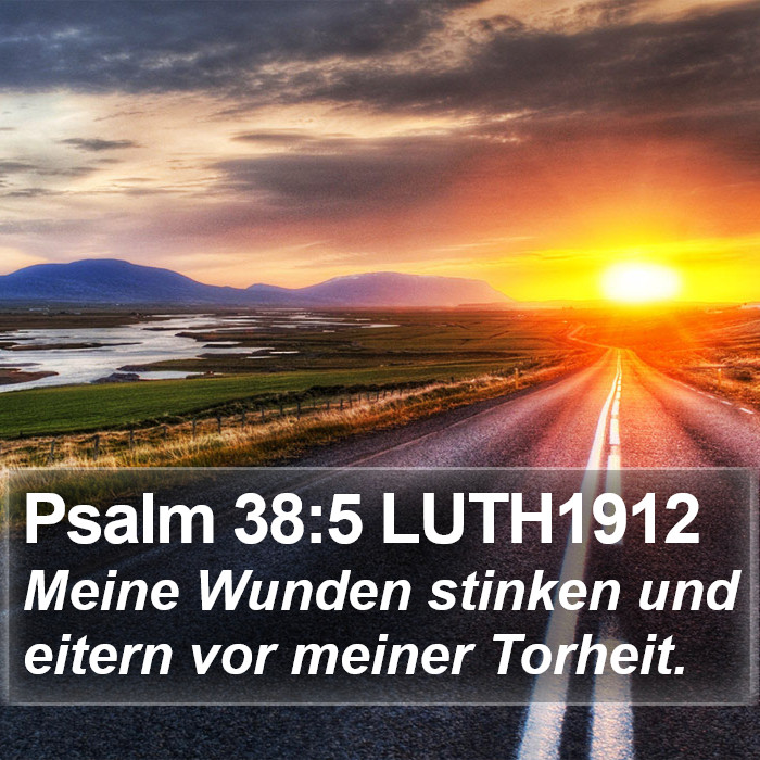 Psalm 38:5 LUTH1912 Bible Study