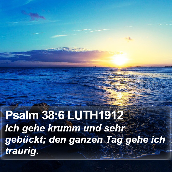Psalm 38:6 LUTH1912 Bible Study