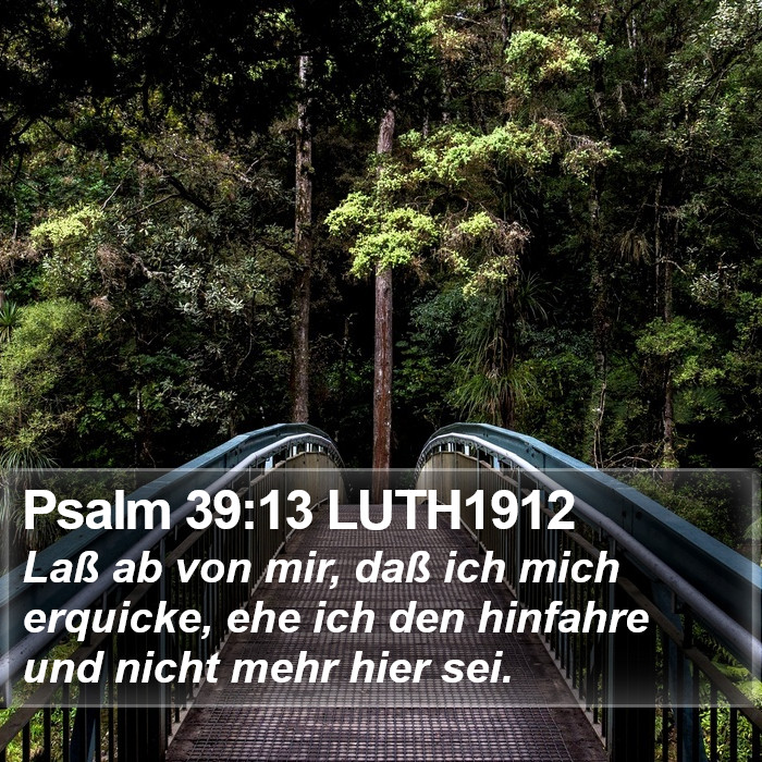 Psalm 39:13 LUTH1912 Bible Study