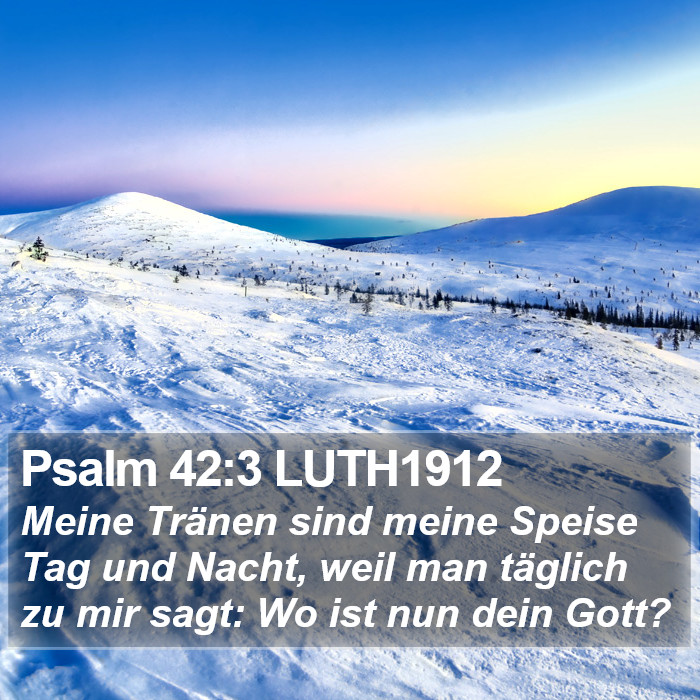 Psalm 42:3 LUTH1912 Bible Study