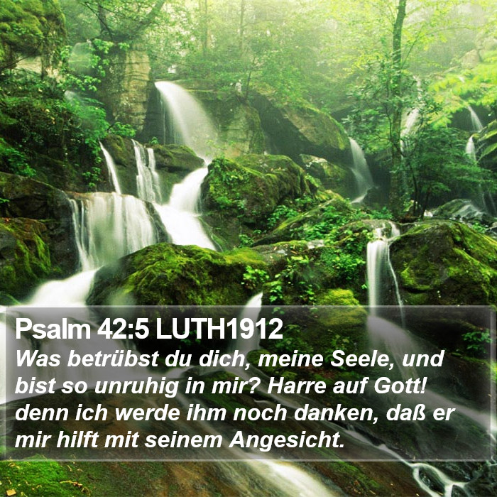 Psalm 42:5 LUTH1912 Bible Study