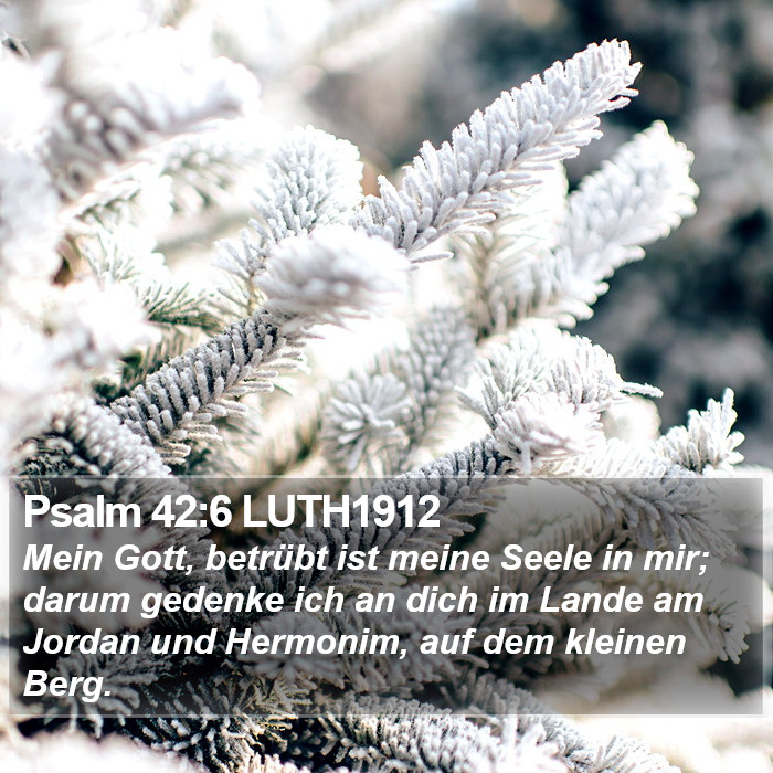 Psalm 42:6 LUTH1912 Bible Study