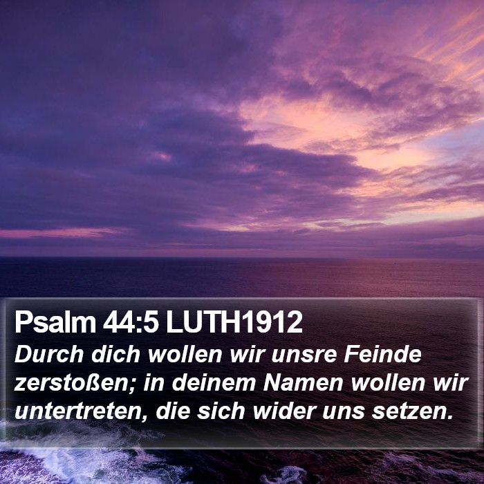 Psalm 44:5 LUTH1912 Bible Study