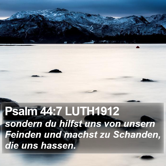 Psalm 44:7 LUTH1912 Bible Study