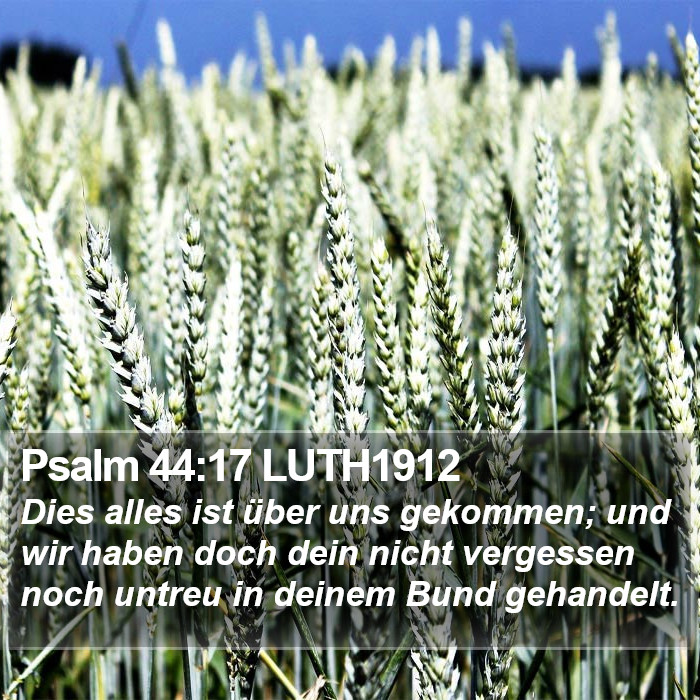 Psalm 44:17 LUTH1912 Bible Study