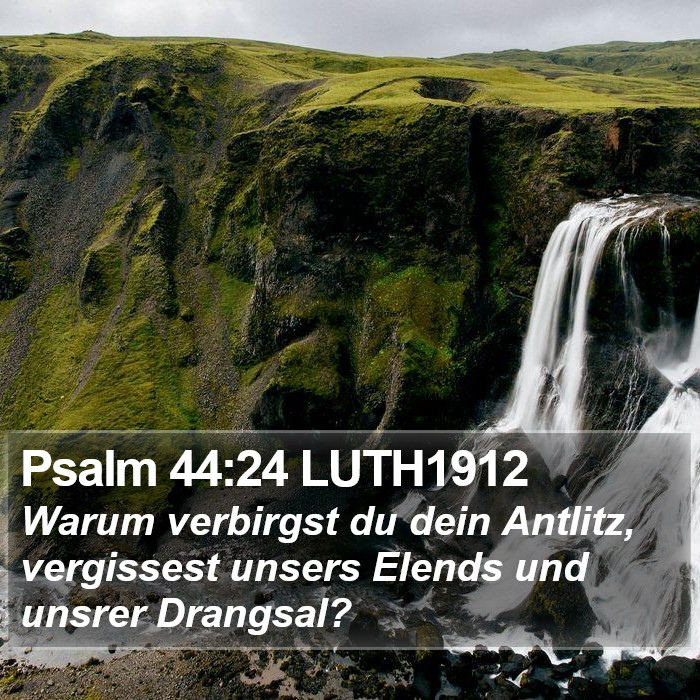 Psalm 44:24 LUTH1912 Bible Study