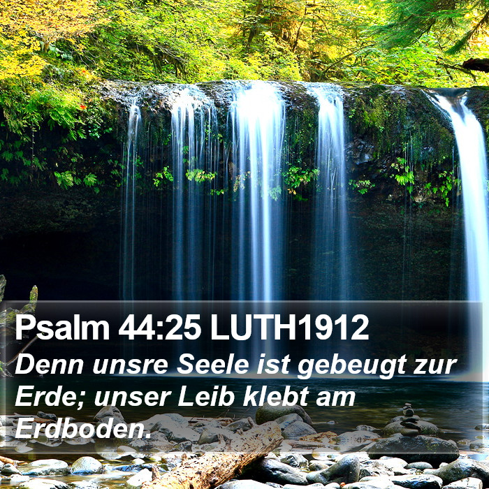 Psalm 44:25 LUTH1912 Bible Study