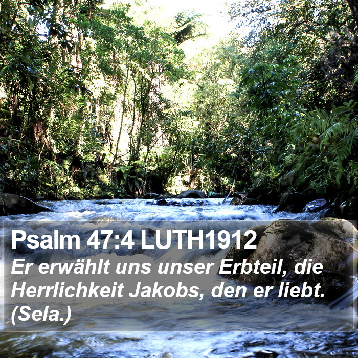 Psalm 47:4 LUTH1912 Bible Study