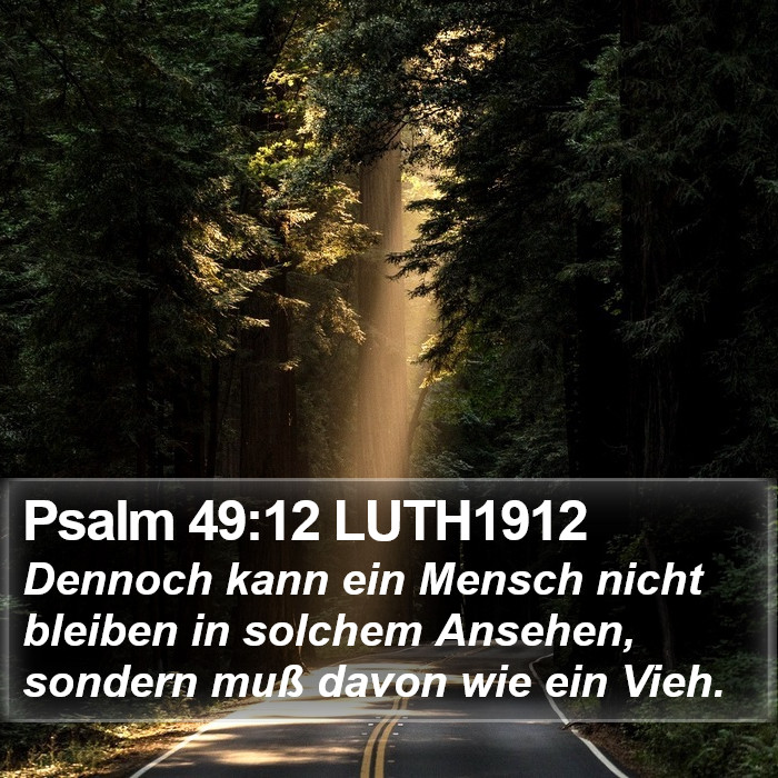 Psalm 49:12 LUTH1912 Bible Study