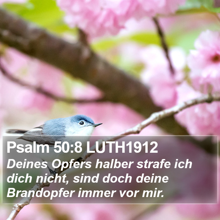 Psalm 50:8 LUTH1912 Bible Study