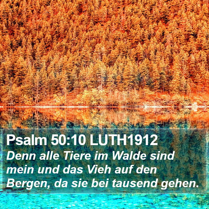 Psalm 50:10 LUTH1912 Bible Study