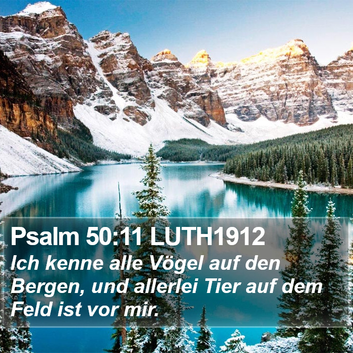 Psalm 50:11 LUTH1912 Bible Study