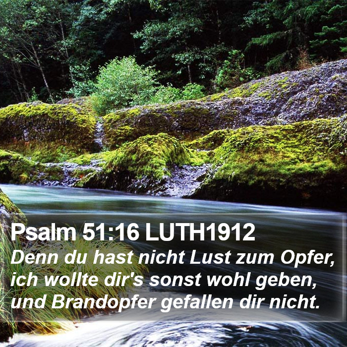 Psalm 51:16 LUTH1912 Bible Study