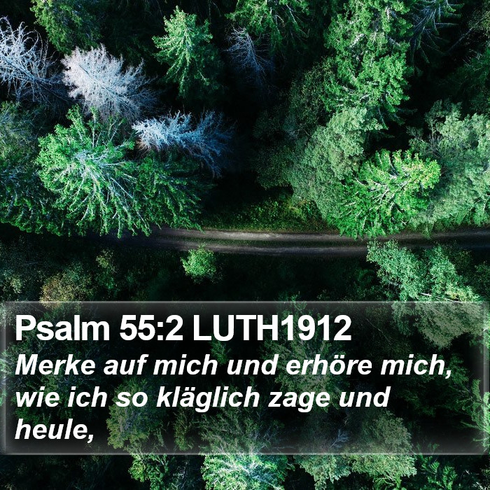 Psalm 55:2 LUTH1912 Bible Study