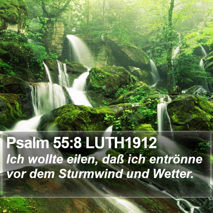 Psalm 55:8 LUTH1912 Bible Study