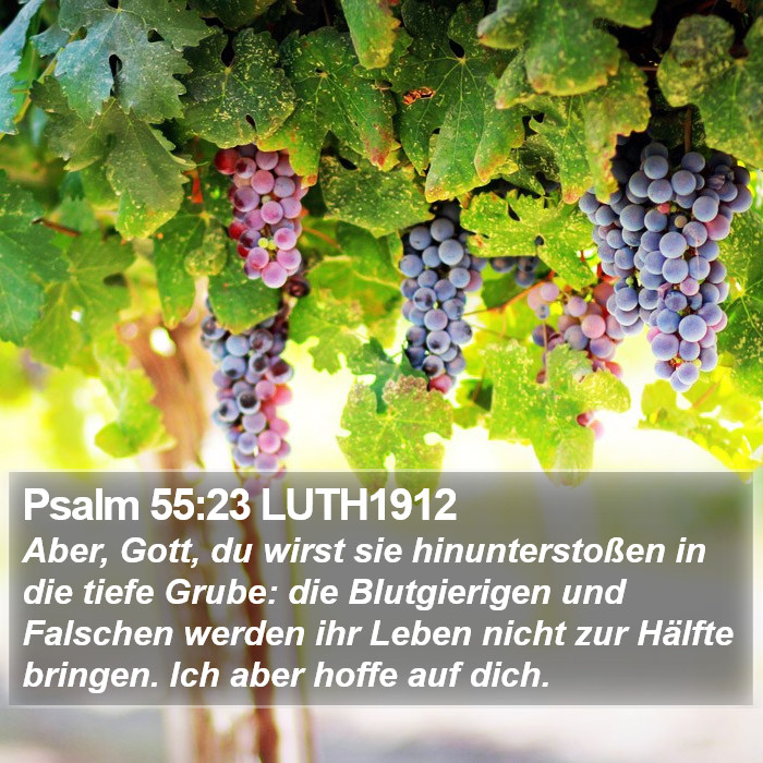 Psalm 55:23 LUTH1912 Bible Study