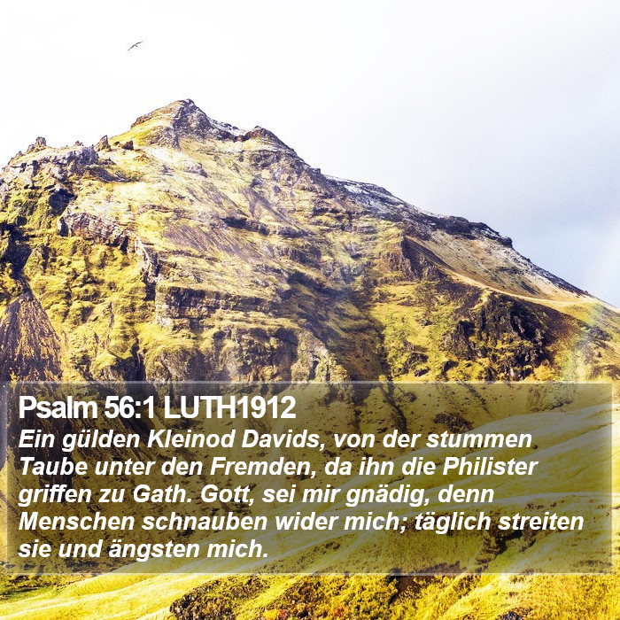 Psalm 56:1 LUTH1912 Bible Study