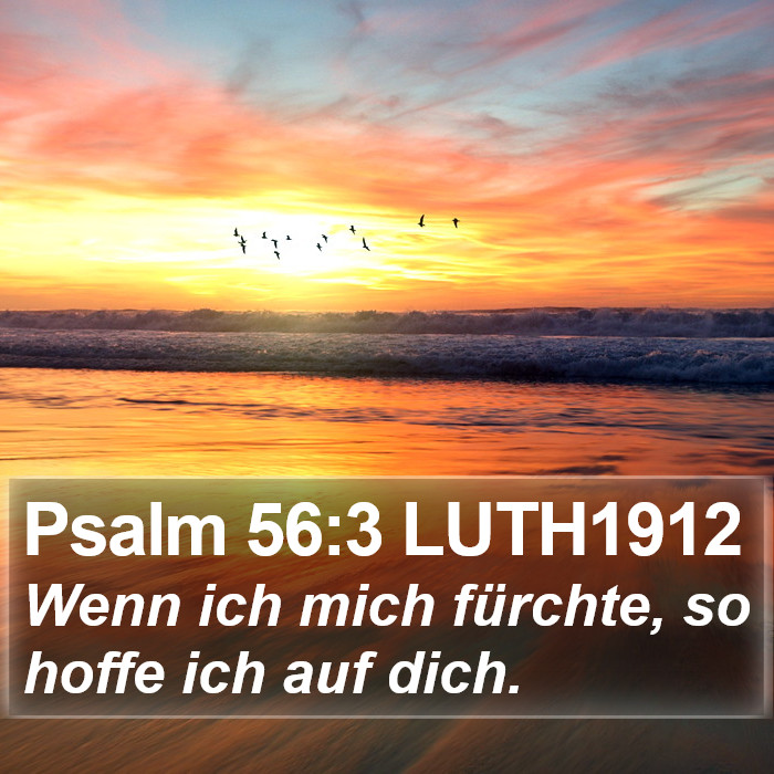 Psalm 56:3 LUTH1912 Bible Study