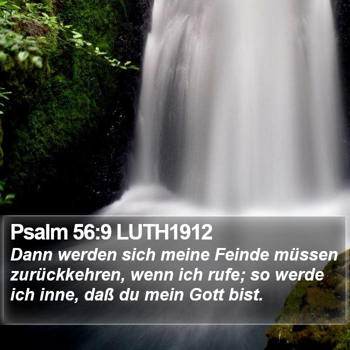 Psalm 56:9 LUTH1912 Bible Study