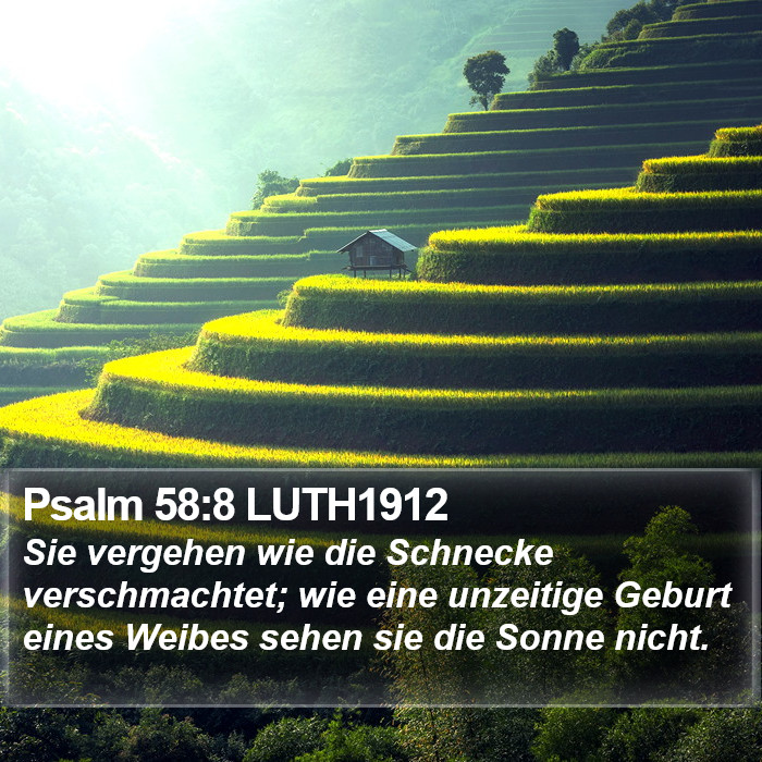 Psalm 58:8 LUTH1912 Bible Study