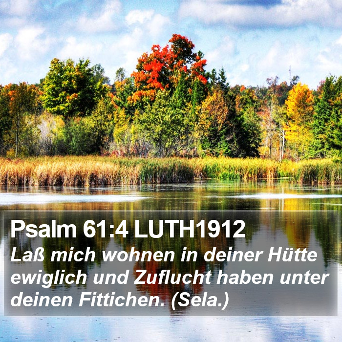 Psalm 61:4 LUTH1912 Bible Study