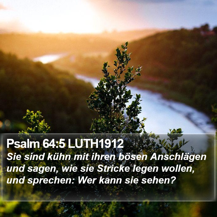 Psalm 64:5 LUTH1912 Bible Study