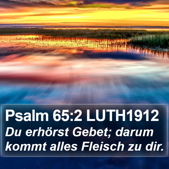 Psalm 65:2 LUTH1912 Bible Study