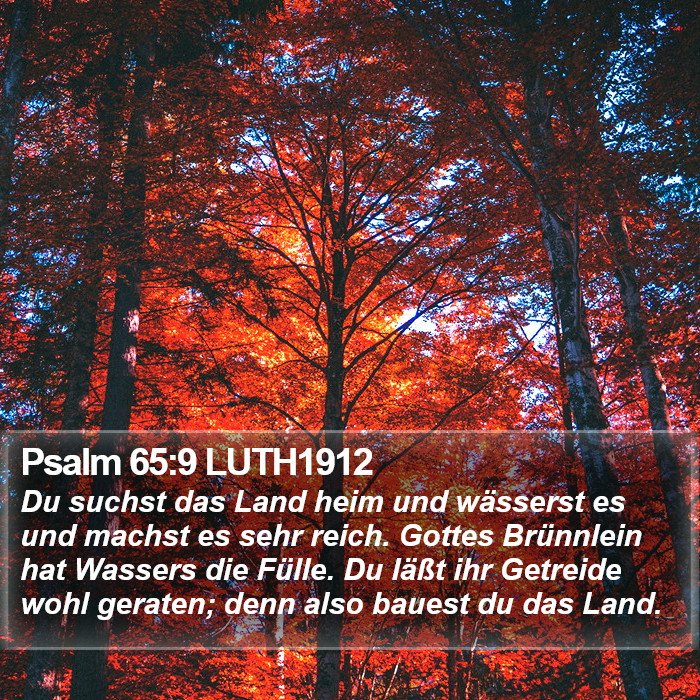 Psalm 65:9 LUTH1912 Bible Study