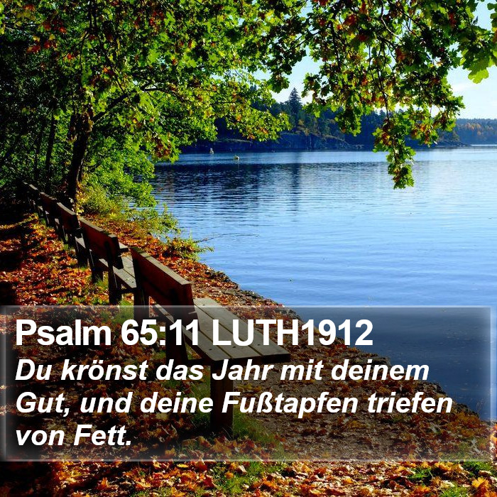 Psalm 65:11 LUTH1912 Bible Study