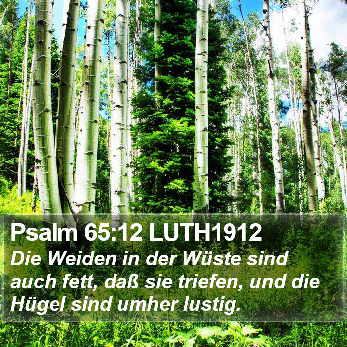 Psalm 65:12 LUTH1912 Bible Study
