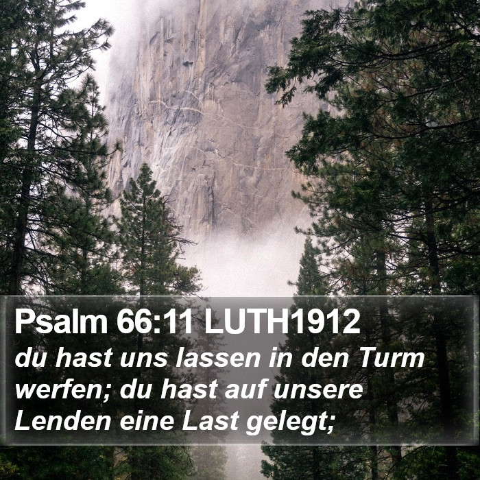 Psalm 66:11 LUTH1912 Bible Study