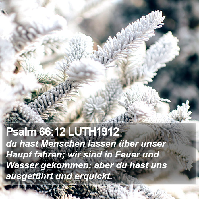 Psalm 66:12 LUTH1912 Bible Study