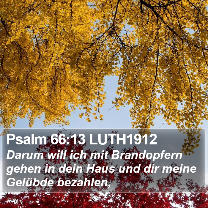Psalm 66:13 LUTH1912 Bible Study