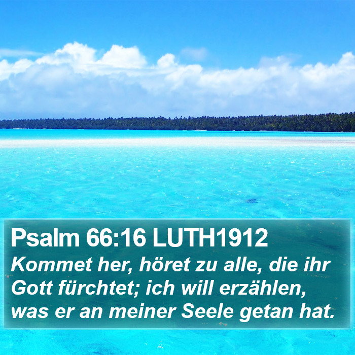 Psalm 66:16 LUTH1912 Bible Study