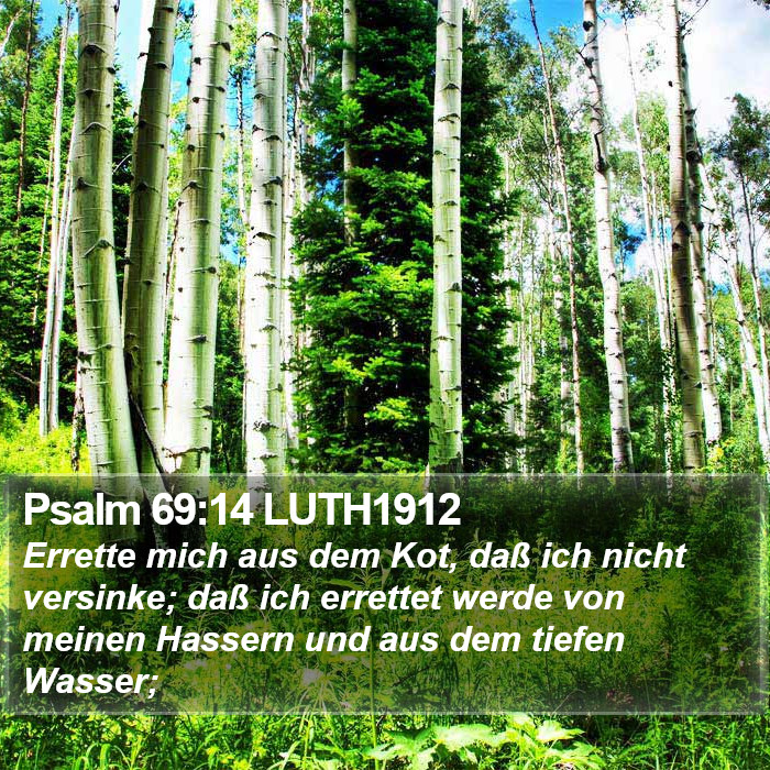 Psalm 69:14 LUTH1912 Bible Study