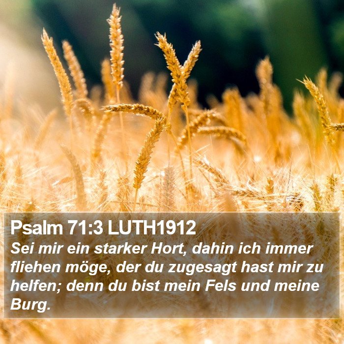 Psalm 71:3 LUTH1912 Bible Study