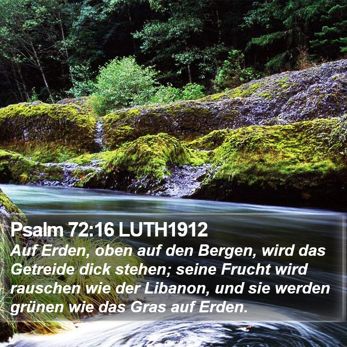 Psalm 72:16 LUTH1912 Bible Study