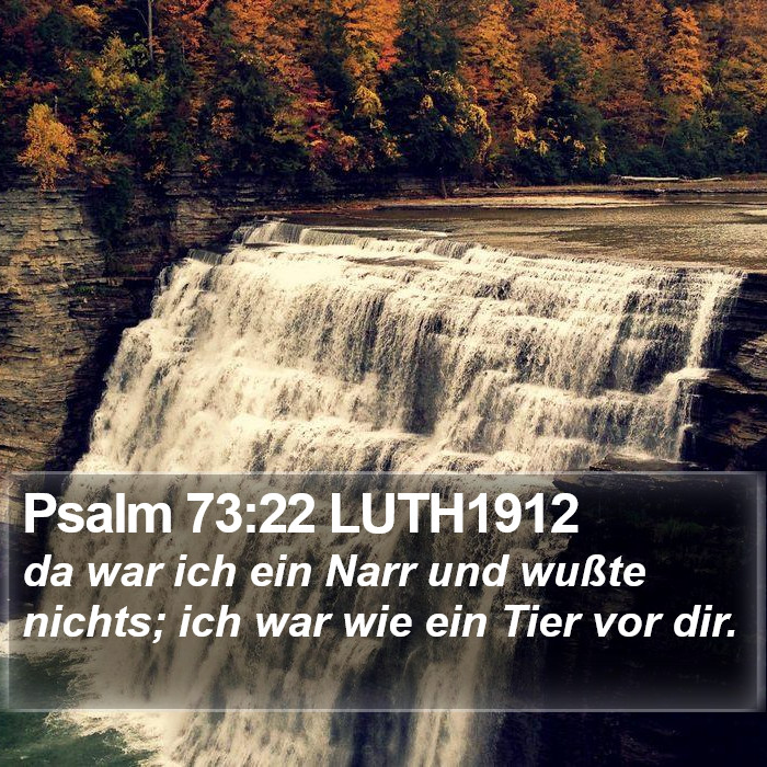 Psalm 73:22 LUTH1912 Bible Study