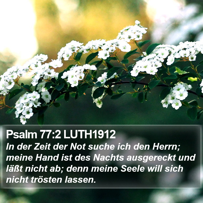 Psalm 77:2 LUTH1912 Bible Study