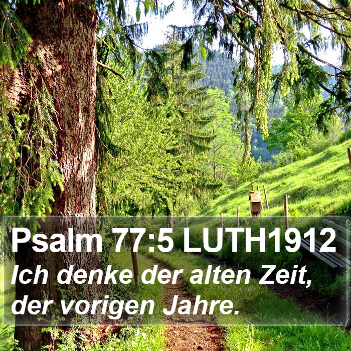 Psalm 77:5 LUTH1912 Bible Study