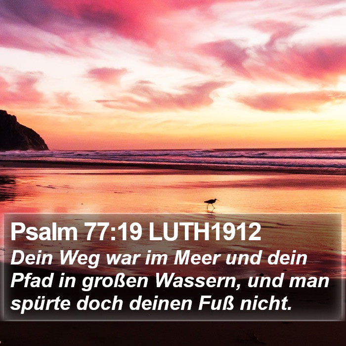 Psalm 77:19 LUTH1912 Bible Study