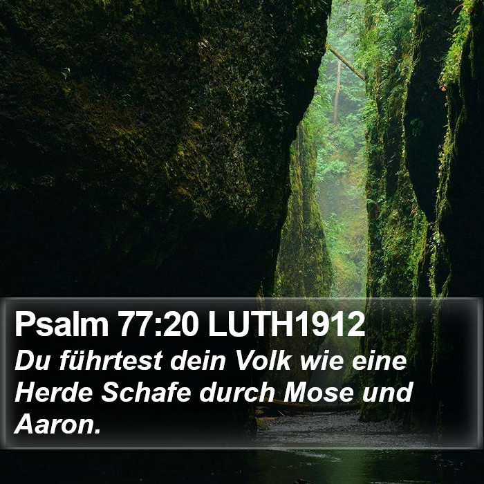 Psalm 77:20 LUTH1912 Bible Study