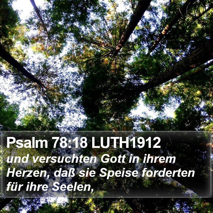 Psalm 78:18 LUTH1912 Bible Study