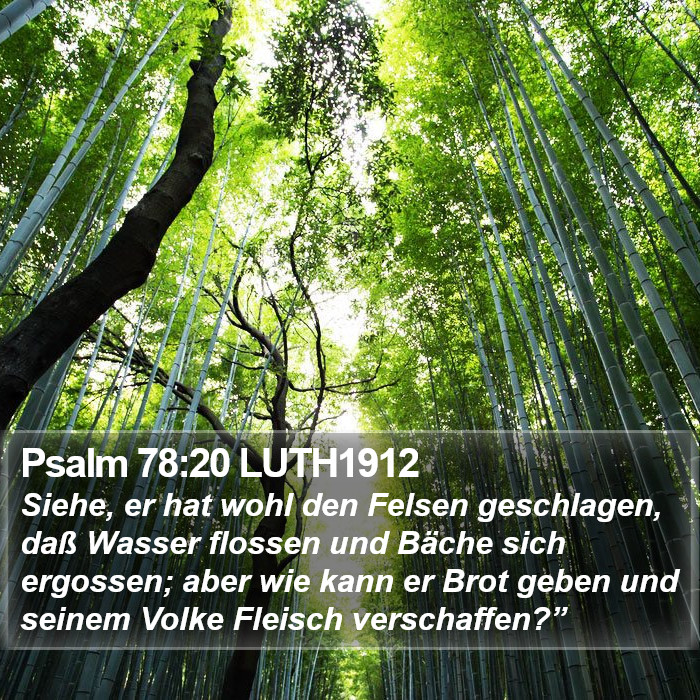 Psalm 78:20 LUTH1912 Bible Study