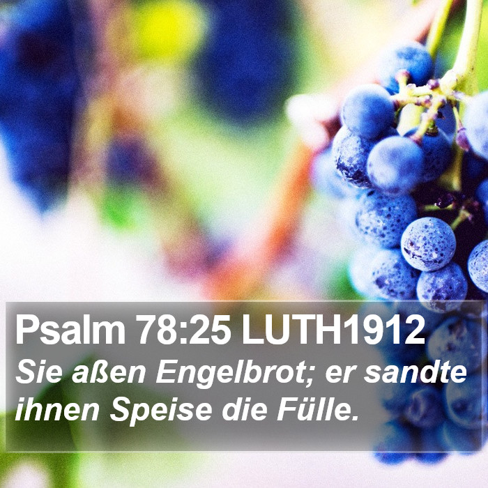 Psalm 78:25 LUTH1912 Bible Study